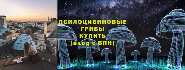 не бодяженный Ладушкин
